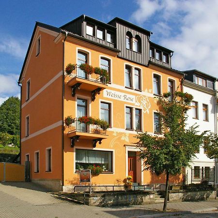 Pension Weisse Rose, Parkplatz, Fruehstueck, Wlan, Zentral 巴特埃尔斯特 外观 照片