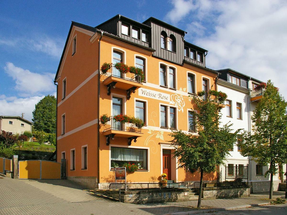 Pension Weisse Rose, Parkplatz, Fruehstueck, Wlan, Zentral 巴特埃尔斯特 外观 照片