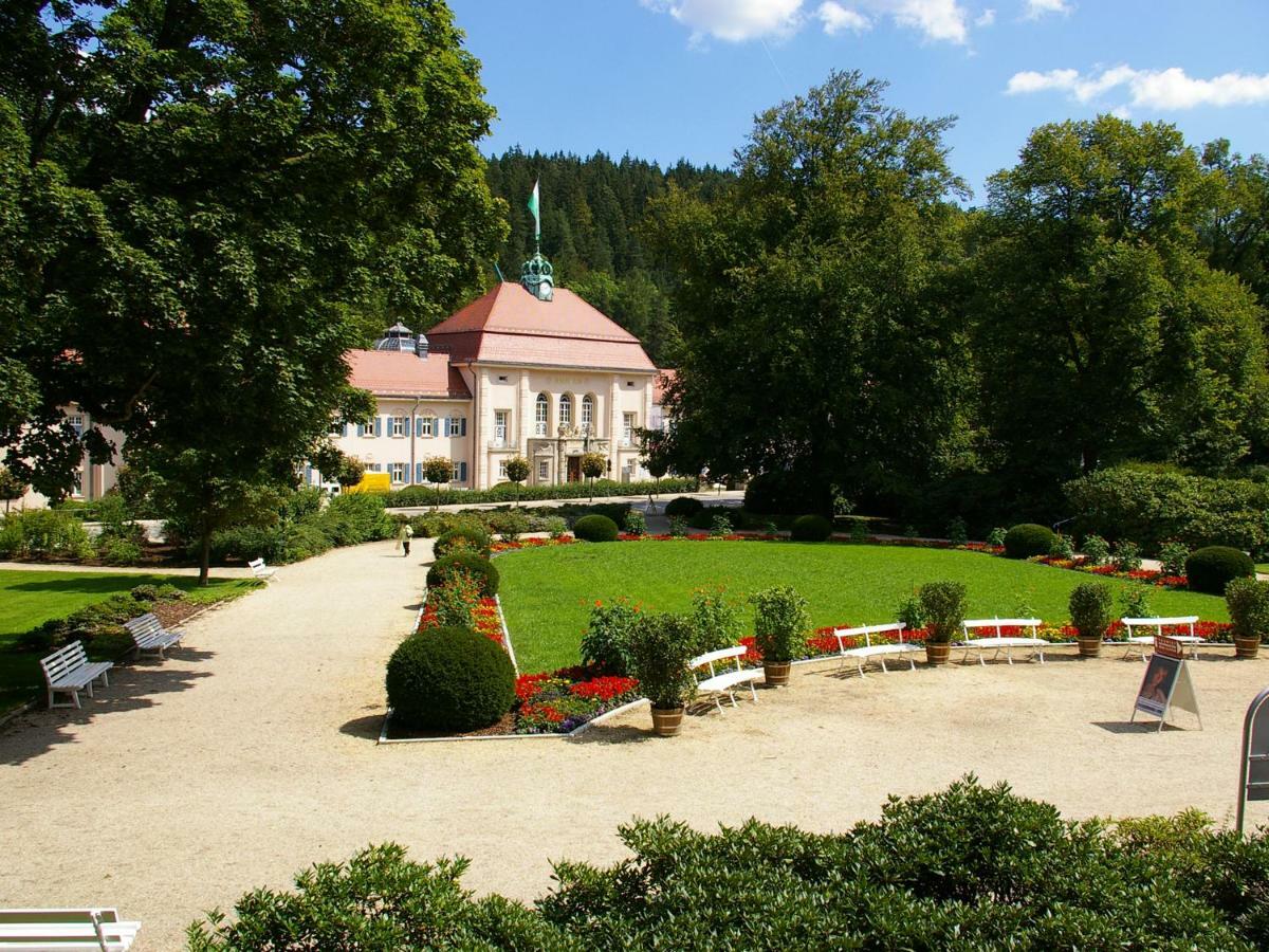 Pension Weisse Rose, Parkplatz, Fruehstueck, Wlan, Zentral 巴特埃尔斯特 外观 照片